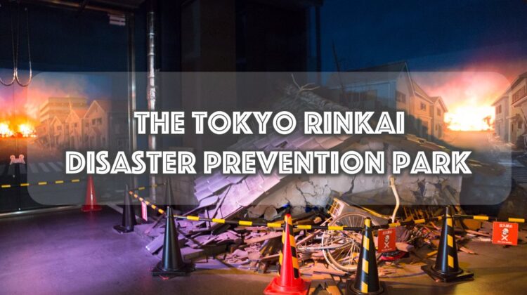 The Tokyo Rinkai Disaster Prevention Park