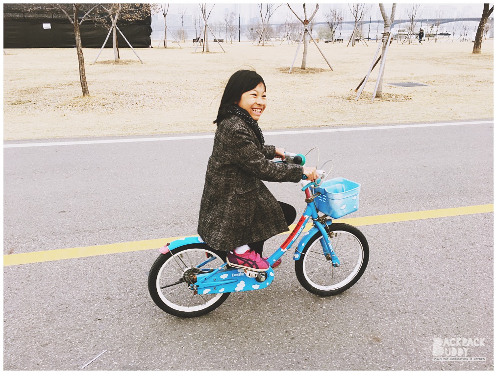seoul bike | han river |bike rental in seoul