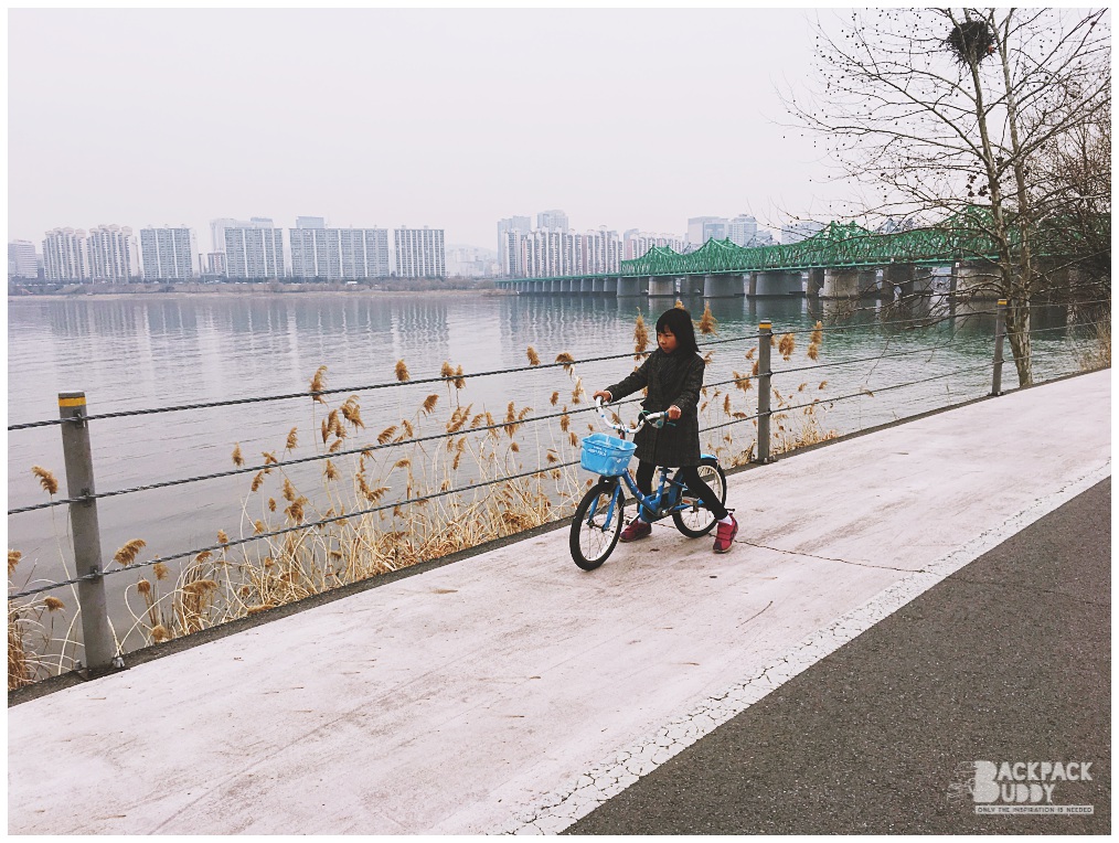 seoul bike | han river |bike rental in seoul