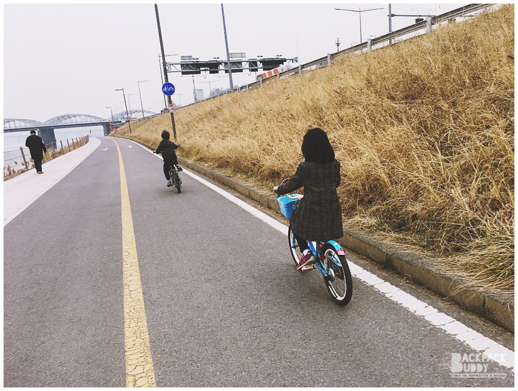 seoul bike | han river |bike rental in seoul