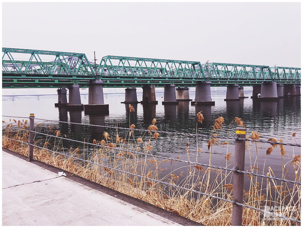 seoul bike | han river |bike rental in seoul