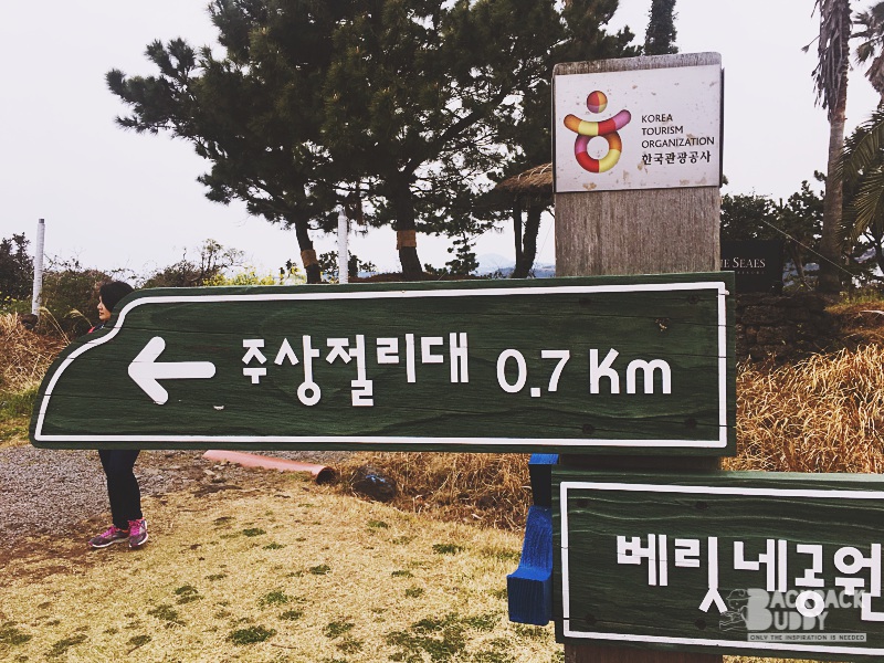 Daepo Jusangjeolli Cliff