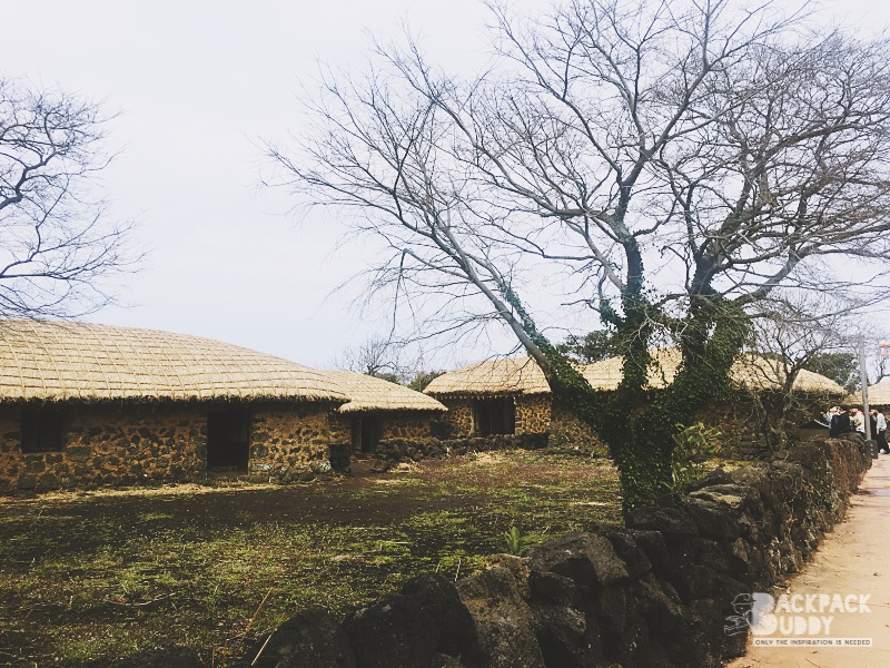 Seongeup Folk Village|jeju